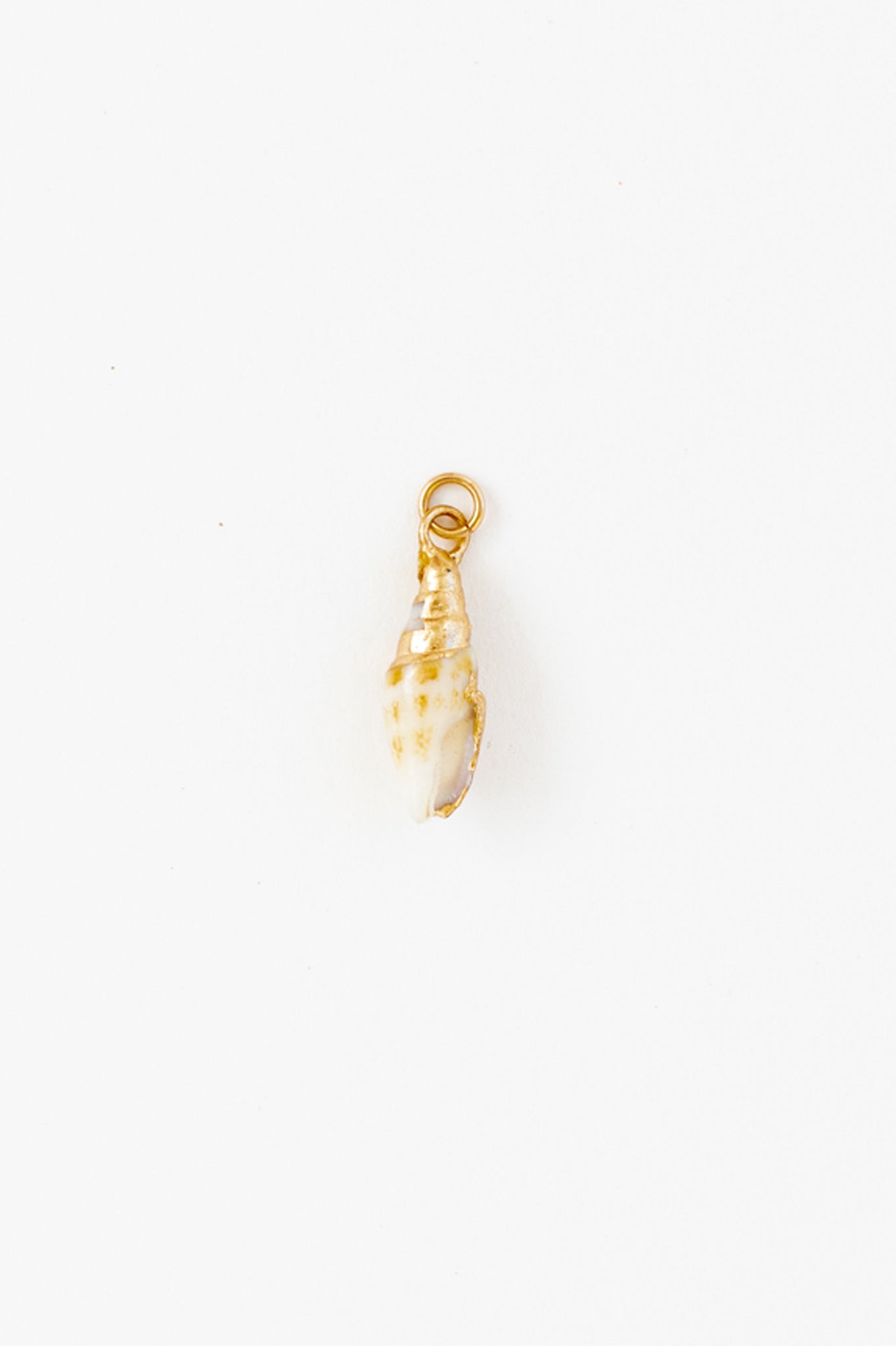 Coach Shell Charm Brown Conch Shell Charm – Our Spare Change