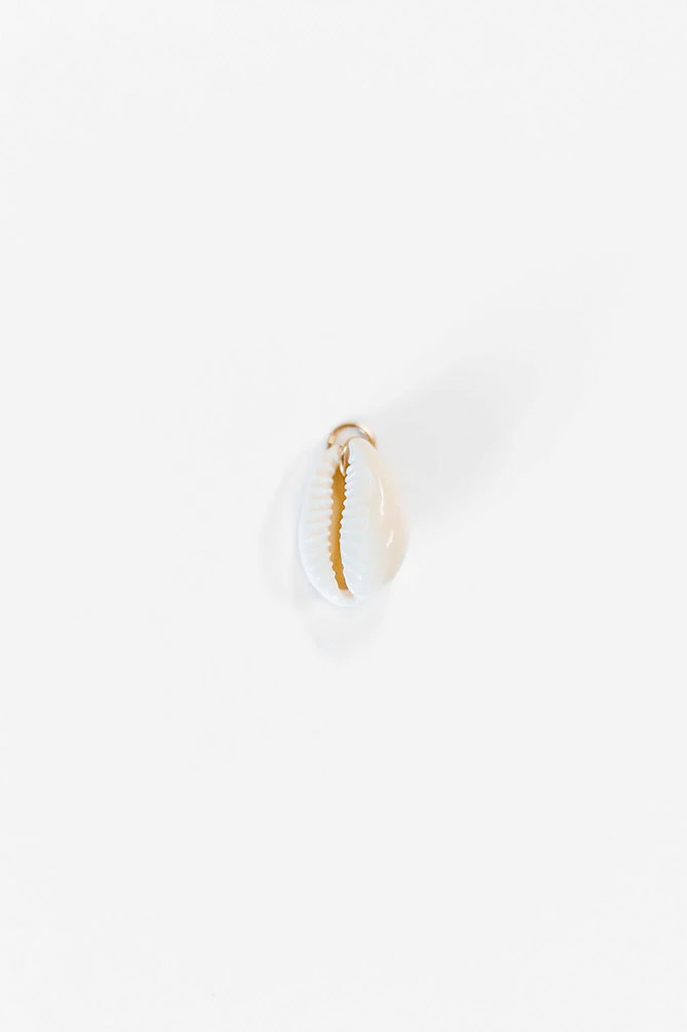 Shell Real Charms Organic Shell Charm – Our Spare Change